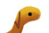worm